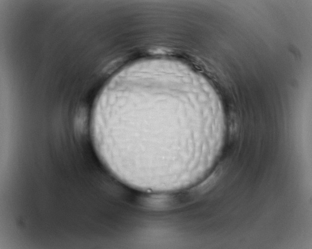 X0000116840090200912312103