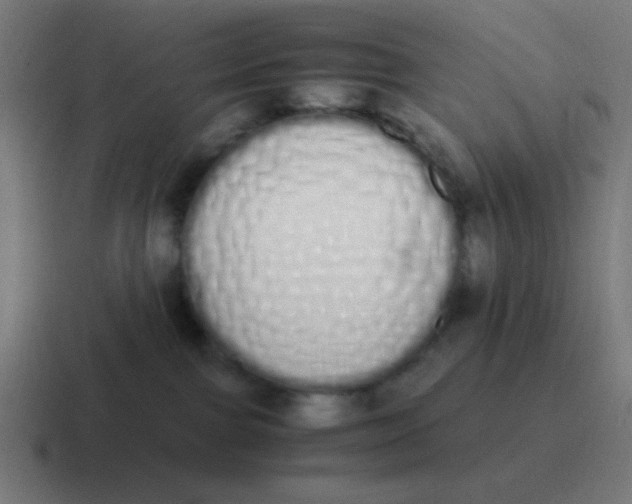 X0000116840091200912312103