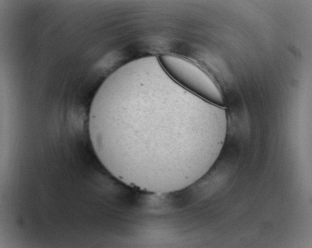 X0000116840092200912312103