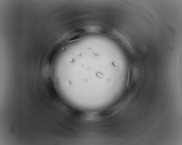 X0000116840093200912312103