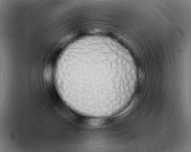 X0000116840094200912312103