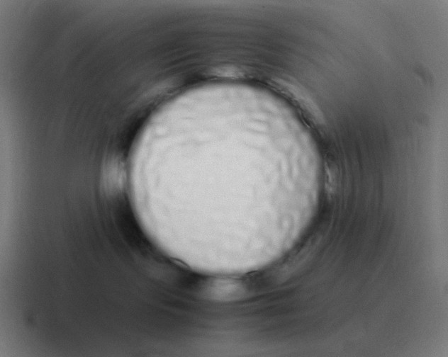 X0000116840095200912312103