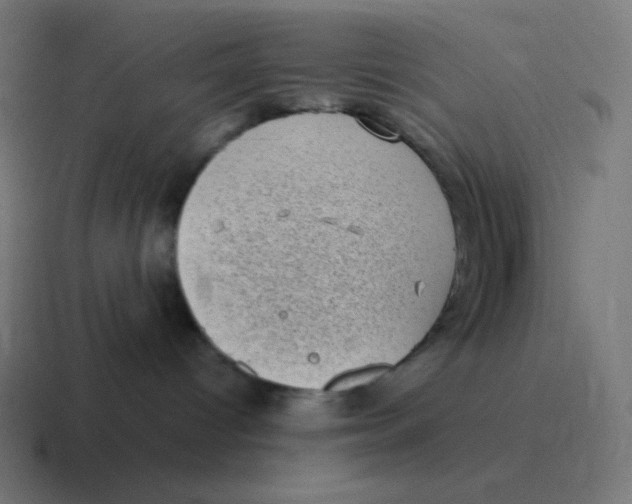 X0000116840096200912312103