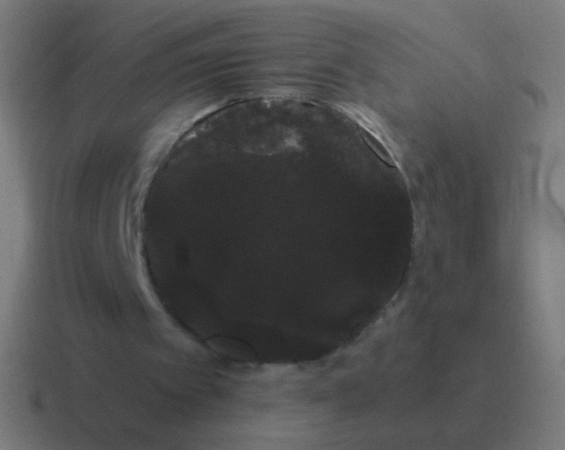 X0000116840097200912312102