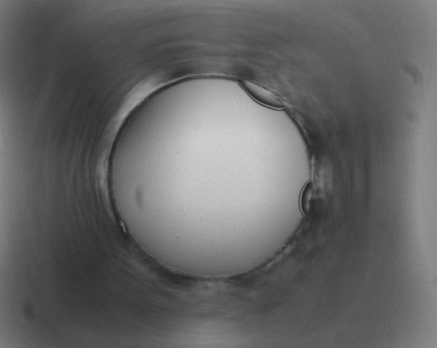 X0000116840099200912312102