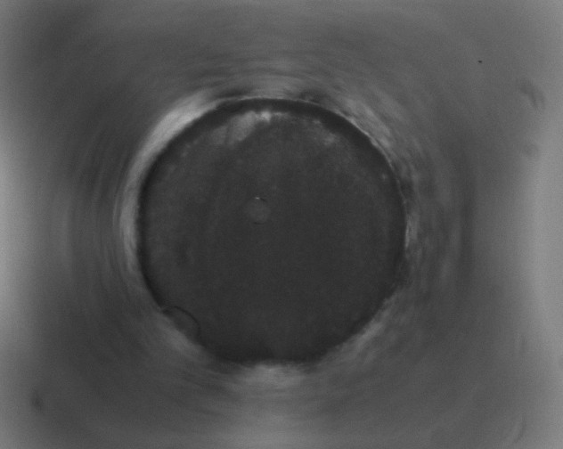 X0000116840101200912312102