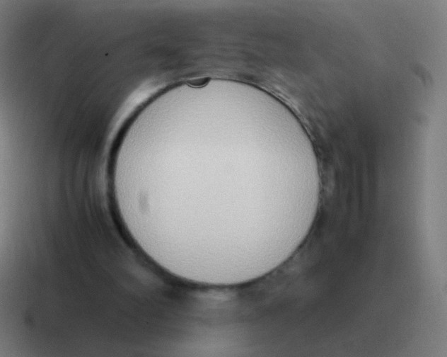 X0000116840102200912312102