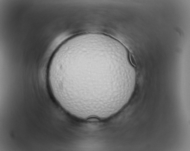 X0000116840103200912312102