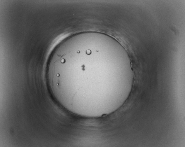 X0000116840104200912312102