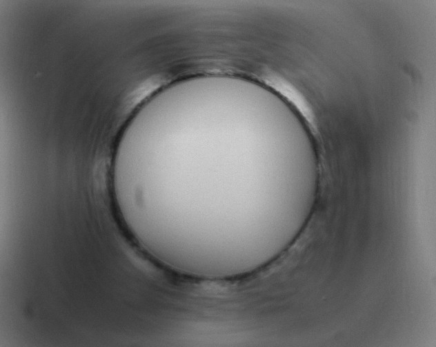 X0000116840105200912312102