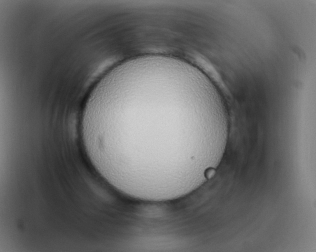 X0000116840106200912312102