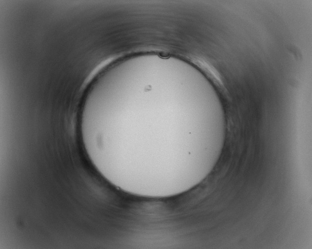 X0000116840108200912312102