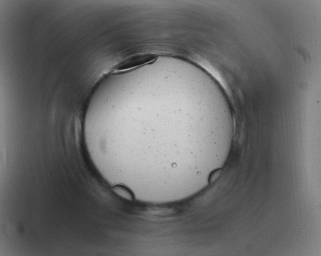 X0000116840109200912312102