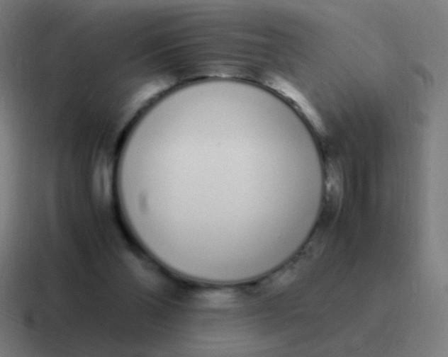 X0000116840110200912312102