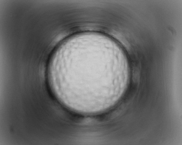 X0000116840111200912312102