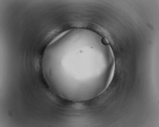 X0000116840114200912312102