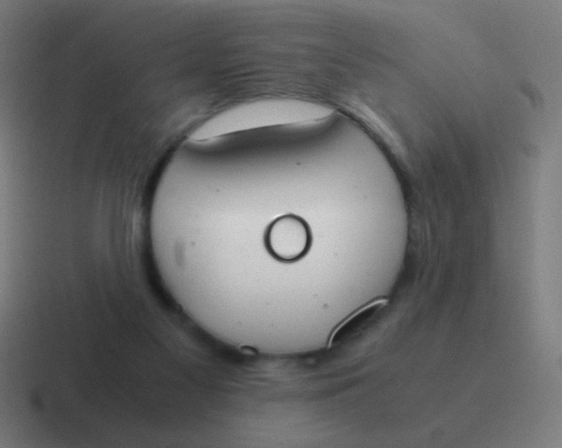 X0000116840117200912312102