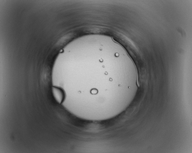 X0000116840119200912312102