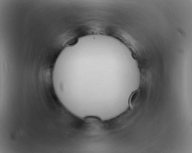 X0000116840121200912312102