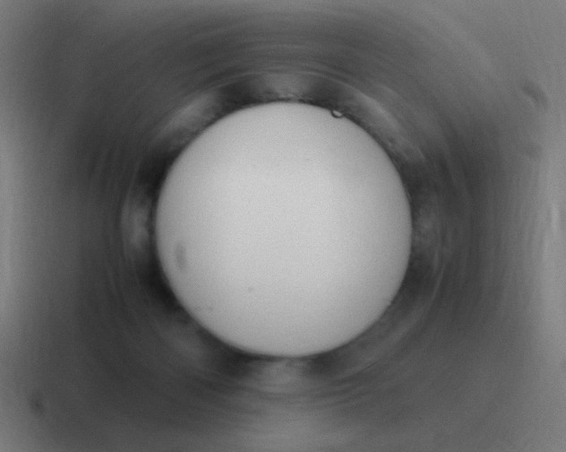 X0000116840122200912312102