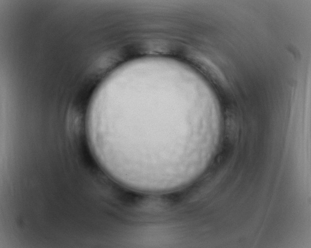 X0000116840123200912312102