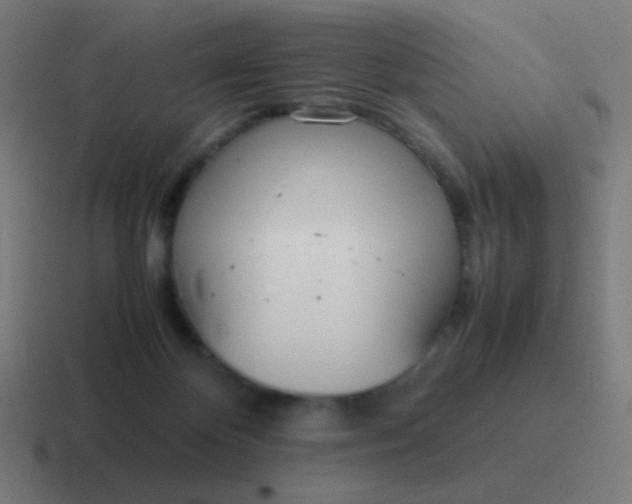 X0000116840124200912312102