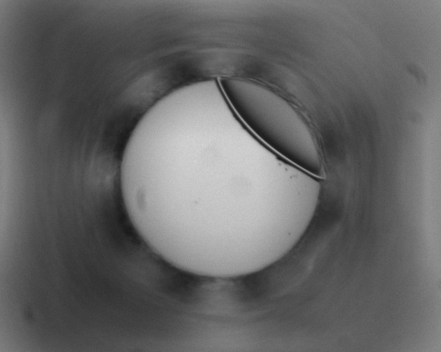 X0000116840125200912312102