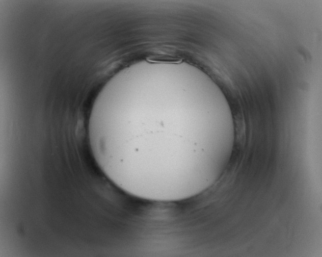 X0000116840128200912312102