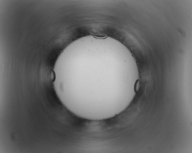 X0000116840129200912312102