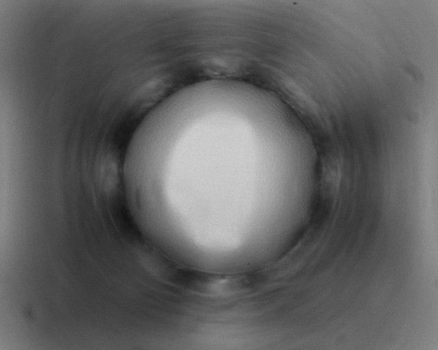 X0000116840130200912312102