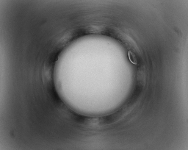 X0000116840131200912312102