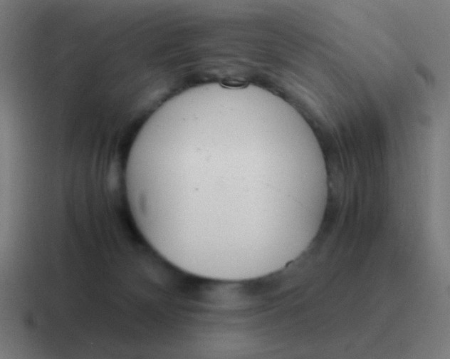 X0000116840132200912312102