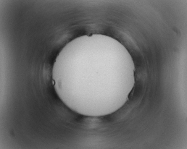 X0000116840133200912312102