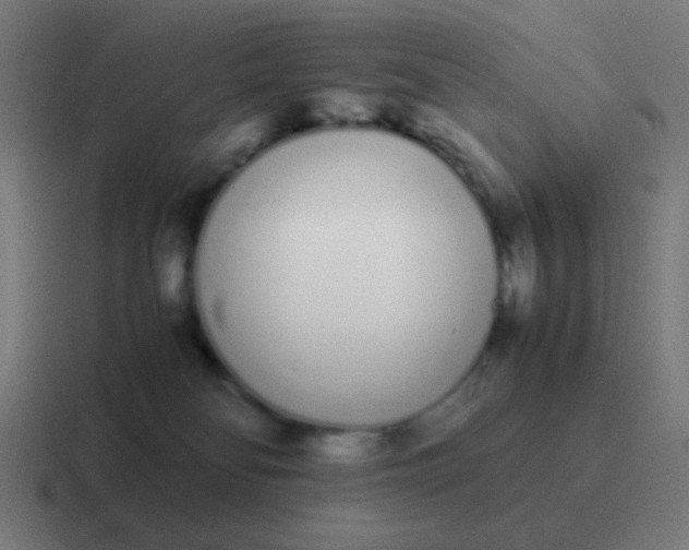 X0000116840134200912312102