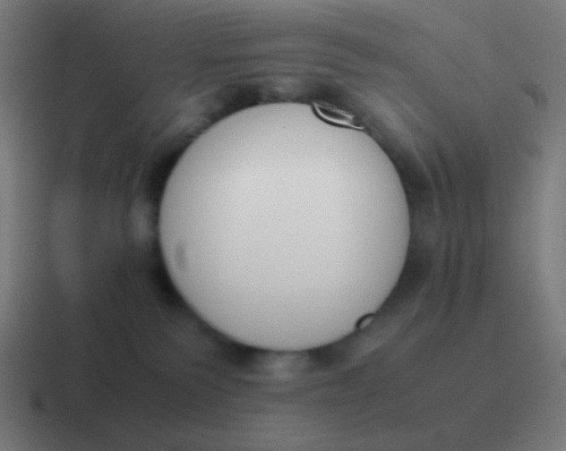 X0000116840135200912312102