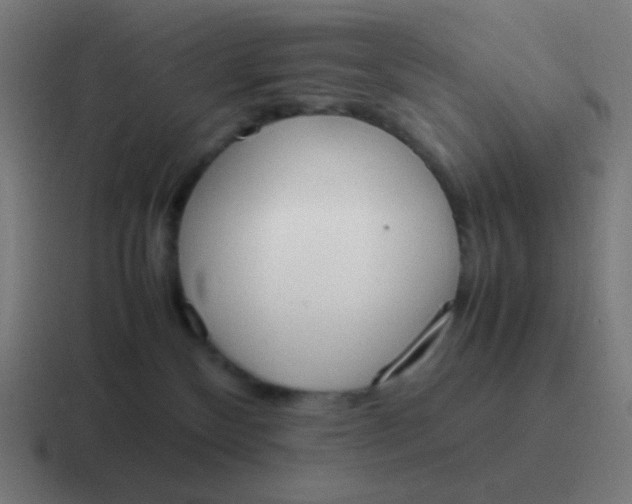 X0000116840136200912312102