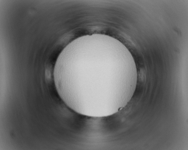 X0000116840138200912312102