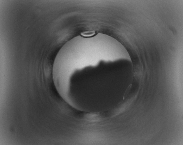 X0000116840139200912312102