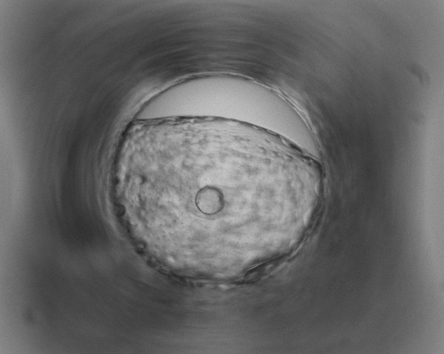 X0000116840145200912312101