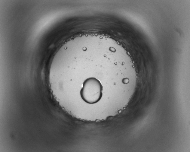 X0000116840146200912312101