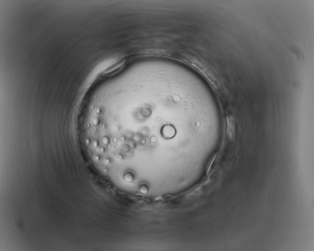 X0000116840147200912312101