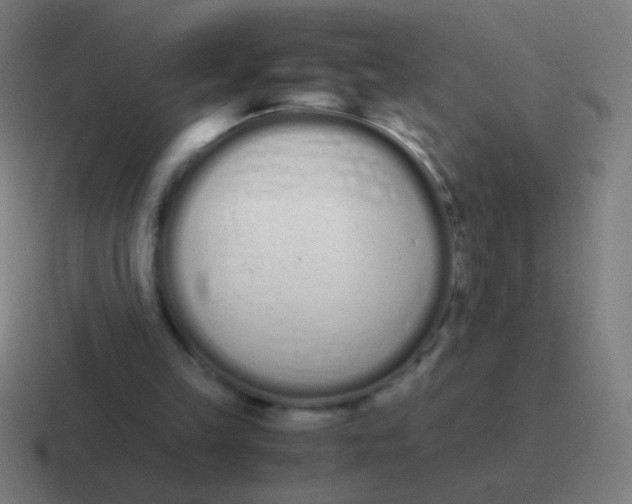 X0000116840149200912312101