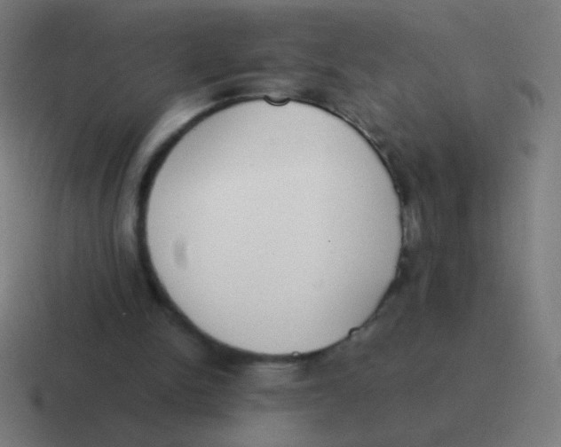 X0000116840150200912312101