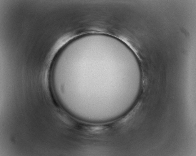 X0000116840151200912312101