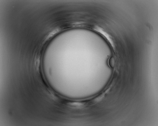 X0000116840153200912312101