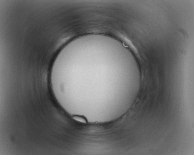 X0000116840154200912312101