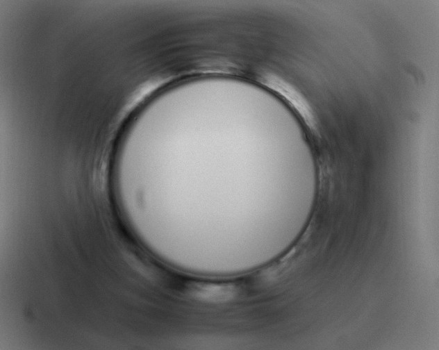 X0000116840155200912312101