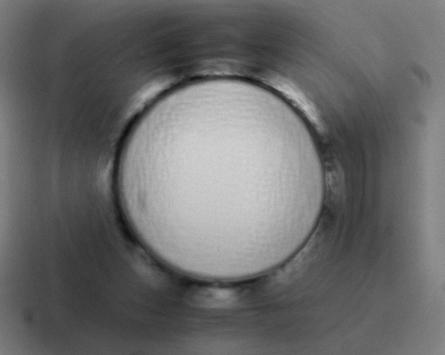 X0000116840159200912312101