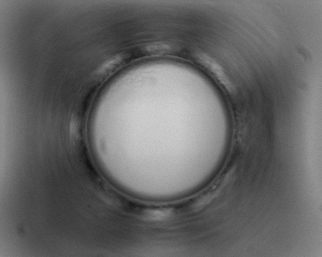 X0000116840161200912312101