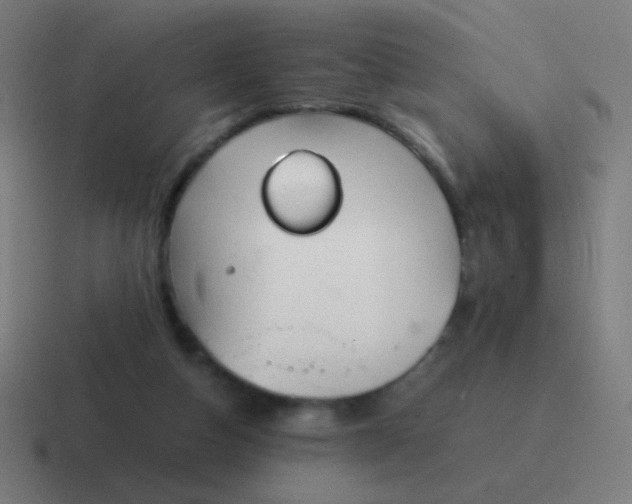 X0000116840162200912312101